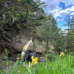 山寻云飨 User Photo