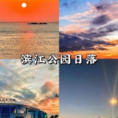 Qisu Court User Photo