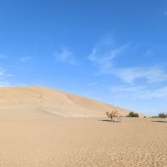 杨记干粮 User Photo