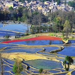 SA MA BA 여행 사진