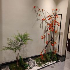 五畝地張用戶圖片