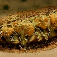 GION SASAKI User Photo