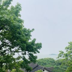 無錫魯能萬豪飯店·萬豪中餐廳張用戶圖片