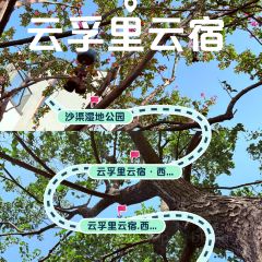 云孚里云宿.西湖云岛·餐厅 User Photo