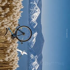 Canyon Cocktail User Photo