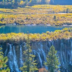 阿妈家特色藏餐(九寨沟店) User Photo