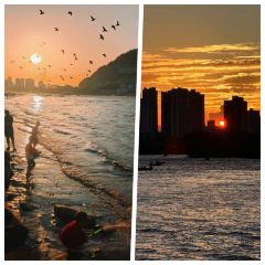 CHUN TAI SHOU ZHUA User Photo