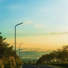 近水樓台園林食府張用戶圖片