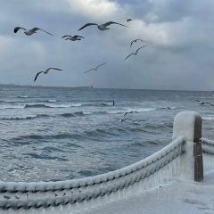 白浪咖啡張用戶圖片