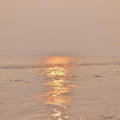 紫薇冷饮(桐乡店) User Photo