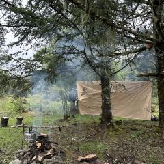 山寻云飨 User Photo