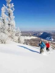 阿爾山滑雪場