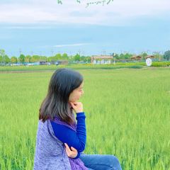 成都蓝城沐春风度假村·有稻里·稻田餐厅 User Photo