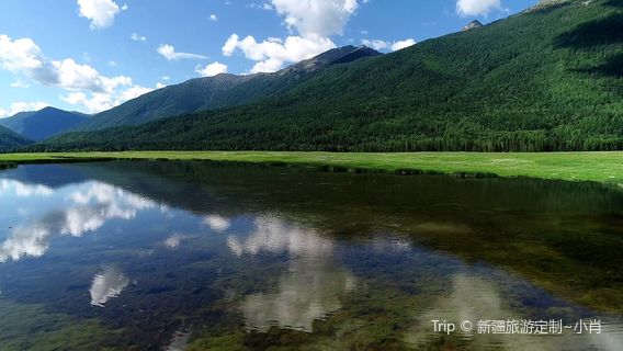 Kangjia Shimen Ziyanhua
