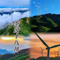 四星望月大籠藏 User Photo