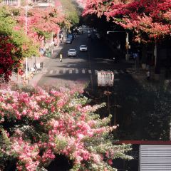 小康生活(碧水花城店) User Photo