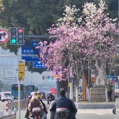 麥當勞（常州西瀛裡店）張用戶圖片