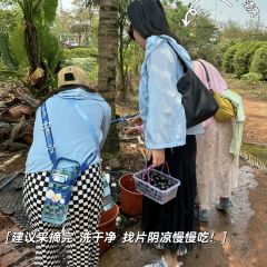 福山土窑养生饭庄(福山镇店) 여행 사진