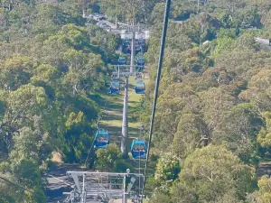 Arthurs Seat Eagle - Base Station