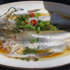 小篤篤媽媽菜張用戶圖片