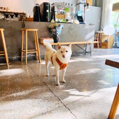 D.ORINO COFFEE User Photo