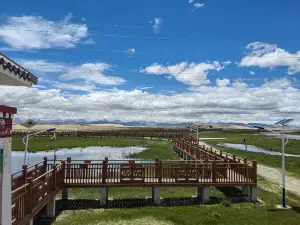 Payang Wetland Boardwalk Scenic Area