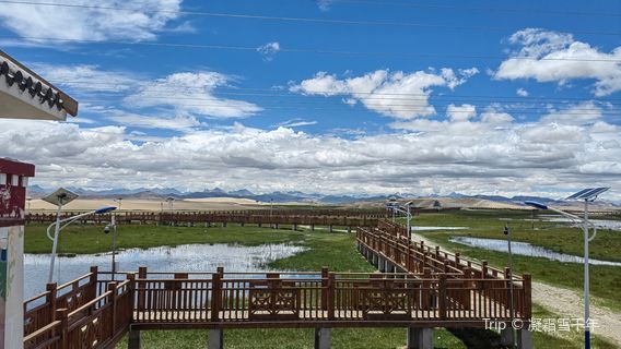 Payang Wetland Boardwalk Scenic Area
