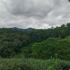 雅布伦享水谷共享农庄·黎享林奢 User Photo