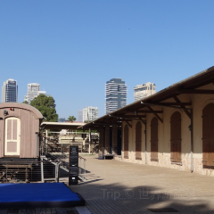 Social Club User Photo