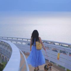 1928食空 User Photo