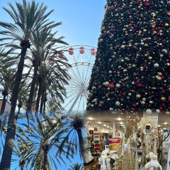 The Friendly Toast User Photo