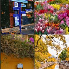 宜良烤鸭 User Photo