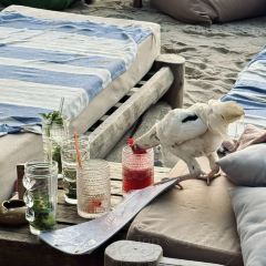 Nomad Beach Club Phuket張用戶圖片