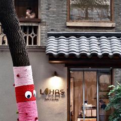 Lohas 여행 사진