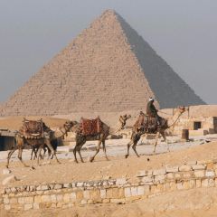 Abou el-Sid User Photo