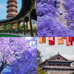 王记清香牛杂粉(海河帝景店) User Photo