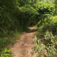 山涧别院 User Photo