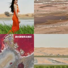金沙湾牧家游 User Photo