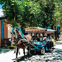 开克力瓦大盘鸡(伊犁街店) User Photo