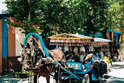 开克力瓦大盘鸡(伊犁街店)