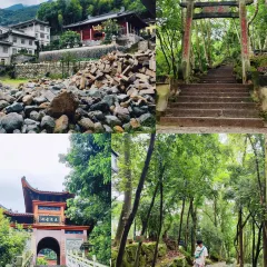 老字号老南门阿旺婆·养生烧仙草 User Photo