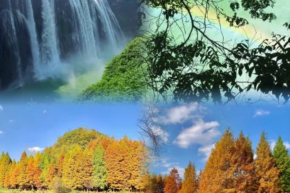 Dong Jia Shi Fu (Bei Jing Road)