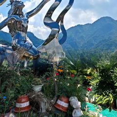 正宗会理鸡火丝(龙眼井店) User Photo