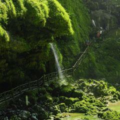 云上House User Photo