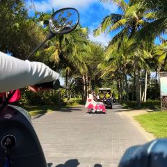 蟹逅海鮮餐廳（石梅灣店）張用戶圖片