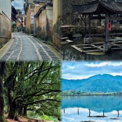 椿野咖啡館（和順店）張用戶圖片