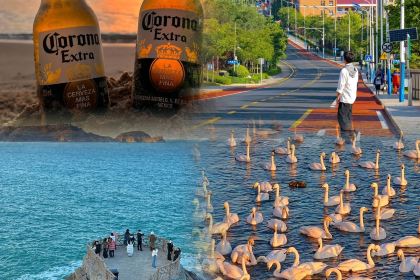 韩香福烤肉庄园(韩乐坊店)