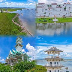 ER SHI SI ZHUANG SUGAR WATER User Photo