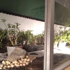 Not available User Photo