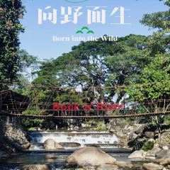 碧波莊園張用戶圖片